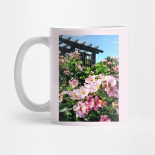 Pink Roses Near Trellis Mug